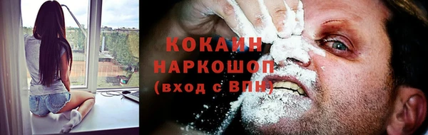 бошки Инта