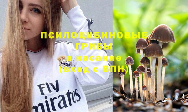 бошки Инта