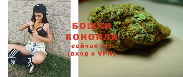 бошки Инта