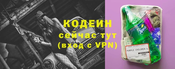 бошки Инта