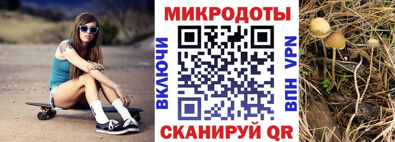Псилоцибиновые грибы Magic Shrooms Томари